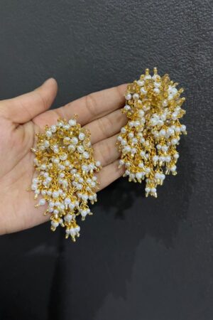 Cultural earings